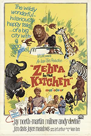 La zebra in cucina, Jay North, Martin Milner, Andy Devine