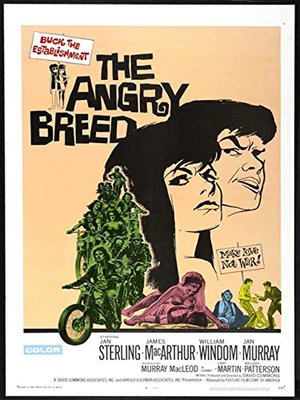 The Angry Breed, Jan Sterling, James MacArthur, William Windom